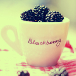 Аватар Ежевика в чашке с надписью Blackberry