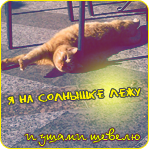 Аватар Я на солнышке лежу и ушами шевелю