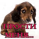 Аватар Прости меня