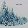 Аватар Зимний лес (winter)