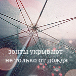 Аватар Зонты укрывают не только от дождя