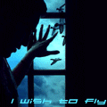 Аватар I wish to fly