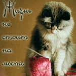 Аватар Жизнь не стоит на месте