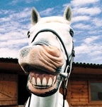 99px.ru аватар Смеющаяся лошадь