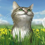 Аватар Кот наслаждается хорошей погодой