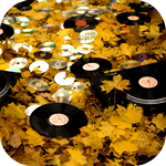 99px.ru аватар Виниловые пластинки и диски среди осенних листьев