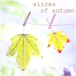 Аватар Осенние листья на прищепках ('Slices of autumn' / 'Частички осени')