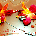 Аватар SPECIAL