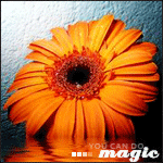 Аватар Рыжий гербер ('You can do magic' / 'Ты способен творить чудеса')