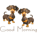 Аватар Good  Morning