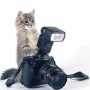 99px.ru аватар Котик