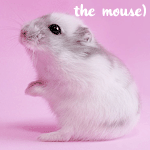 Аватар Мышь (The mouse / Мышь)
