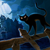 99px.ru аватар Чёрная кошка на заборе около старого дома ночью