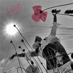 99px.ru аватар Девушка в поле с цветами под палящим солнцем (Love)