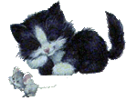 Аватар Кошка играет с мышкой