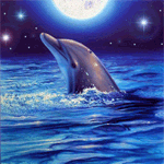 99px.ru аватар Дельфин в лунную, звёздную ночь