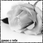 Аватар Думаю о тебе