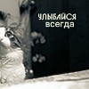 Аватар Кот советует (улыбайся всегда)