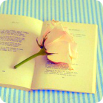 Аватар Роза на книге