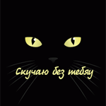 Аватар Кошка слизывает надпись 'Скучаю без тебяу'