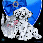 99px.ru аватар Дружба кошки и собаки