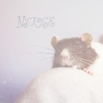 Аватар Мышь ('Mouse' / 'Мышь')