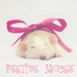 99px.ru аватар Мышь с бантиком ('Festive mouse' / 'Праздничная мышь')