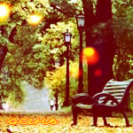 Аватар Осенний парк ('Осень')