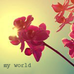 Аватар Цветок в солнечном свете ('My world' / 'Мой мир')