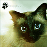 99px.ru аватар Сиамская кошка