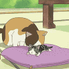 99px.ru аватар Кошка вылизывает котёнка Чи (аниме Милый дом Чи/anime Chi's Sweet Home)