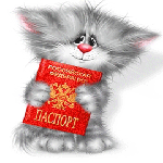 Аватар Котик с паспортом