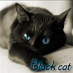 99px.ru аватар Чёрная кошка с горящими глазами Black cat