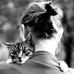 Аватар Девушка с котом на руках