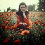 Аватар Девушка в маковом поле