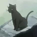 Аватар Йоруичи в виде кошки 'Блич/Bleach'