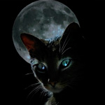 99px.ru аватар Чёрный кот
