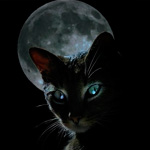Аватар Чёрный кот