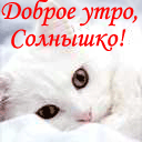 99px.ru аватар Доброе утро, Солнышко!