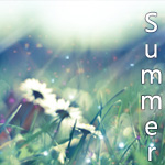 Аватар Ромашки в поле (Summer)
