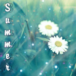 Аватар Красивые ромашки в поле (Summer)