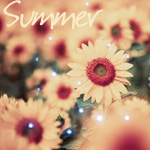 Аватар Подсолнухи (Summer)