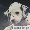 Аватар Долматинец (i won`t let go)