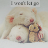 Аватар Две мышки спят с игрушкой (i won`t let go)