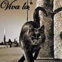 Аватар Viva la France