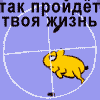 Аватар Так пройдёт твоя жизнь