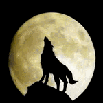99px.ru аватар Волк воет на луну