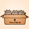 Аватар Котята в коробке (this side up)