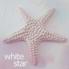 99px.ru аватар Морская звезда (White Star)