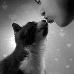 Аватар Девушка целует кошку